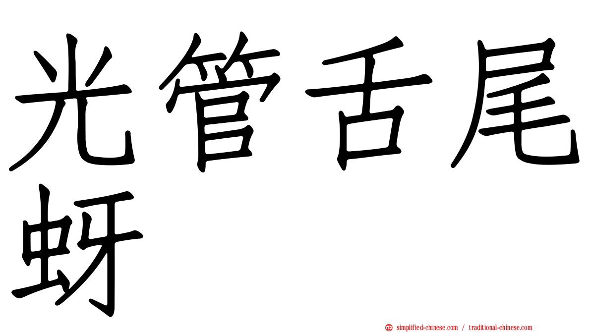 光管舌尾蚜