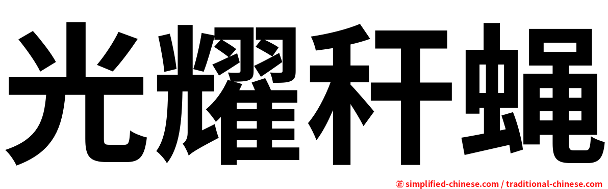 光耀秆蝇