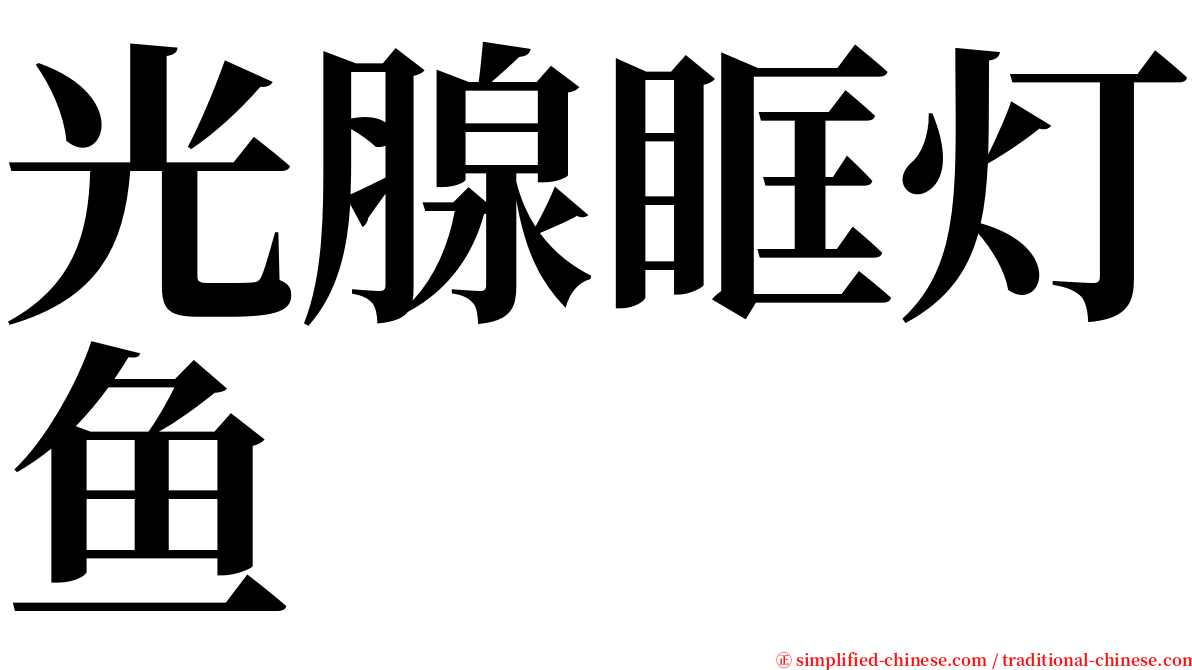 光腺眶灯鱼 serif font