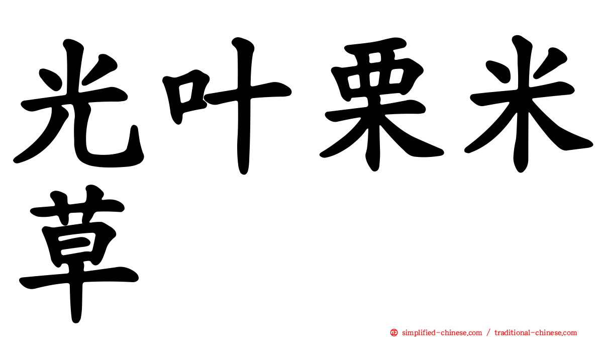 光叶栗米草