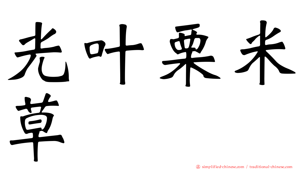 光叶栗米草