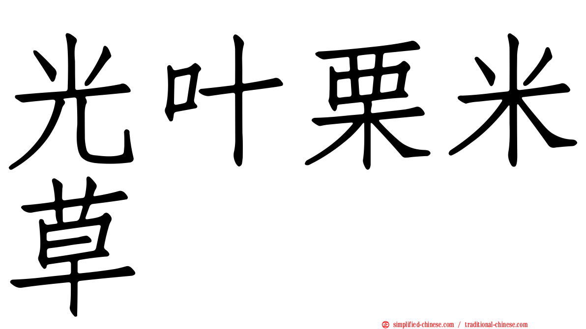 光叶栗米草