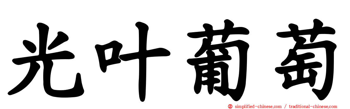 光叶葡萄