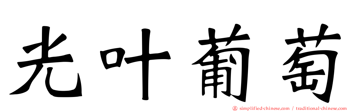 光叶葡萄