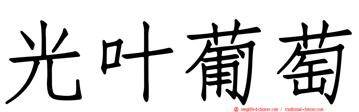 光叶葡萄
