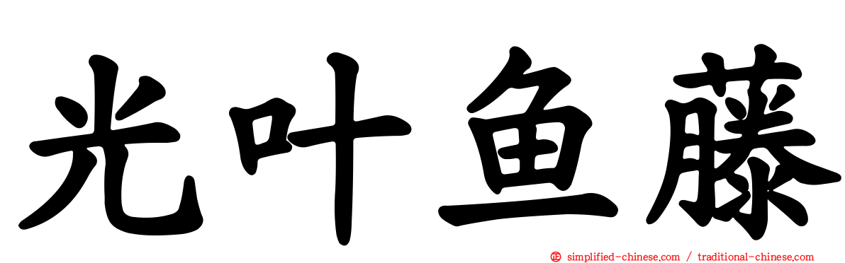 光叶鱼藤