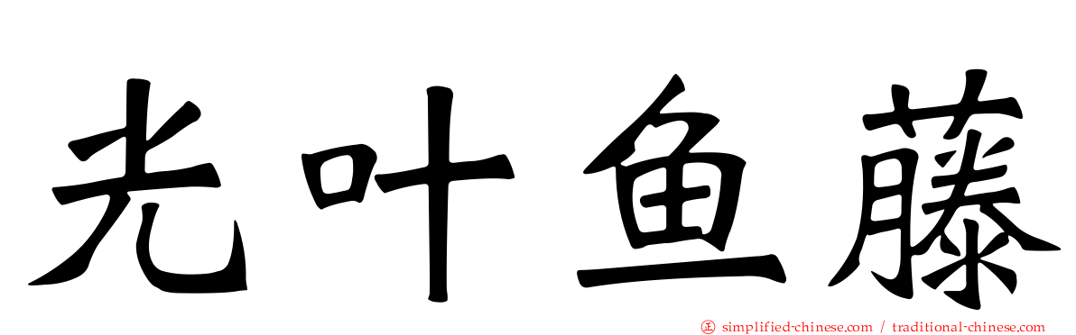 光叶鱼藤