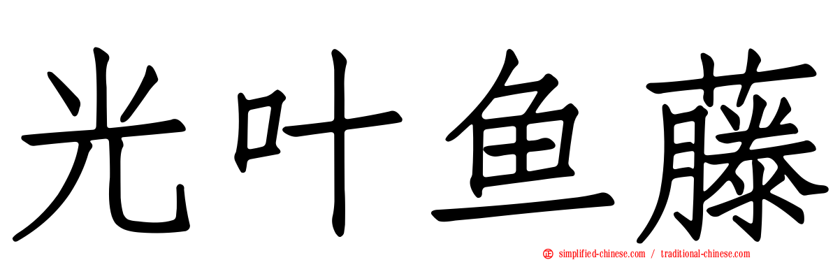 光叶鱼藤