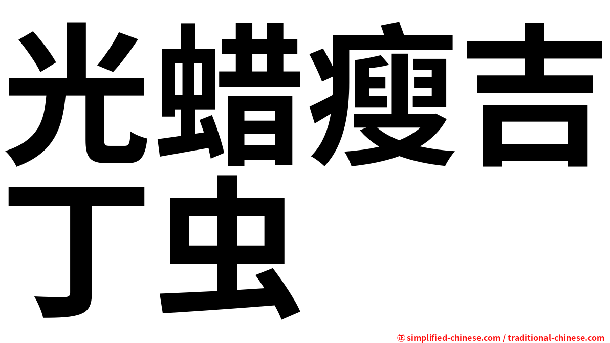 光蜡瘦吉丁虫