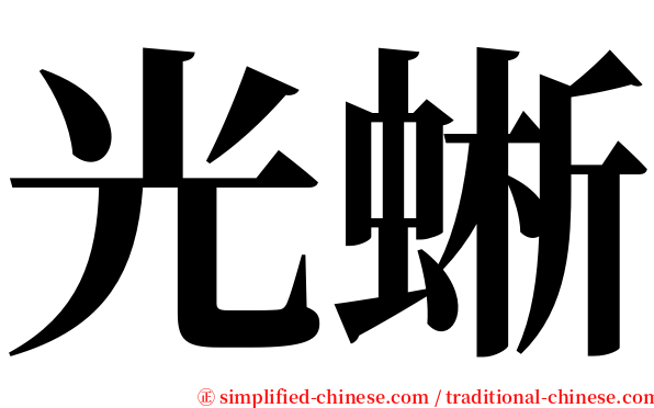 光蜥 serif font