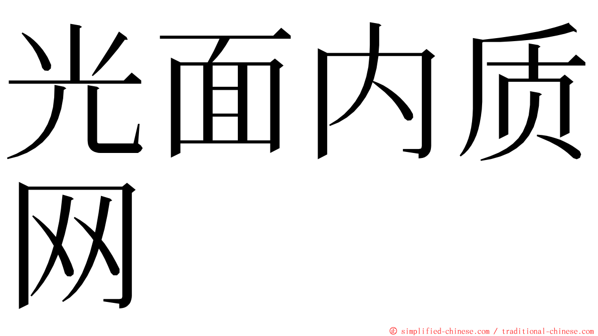 光面内质网 ming font