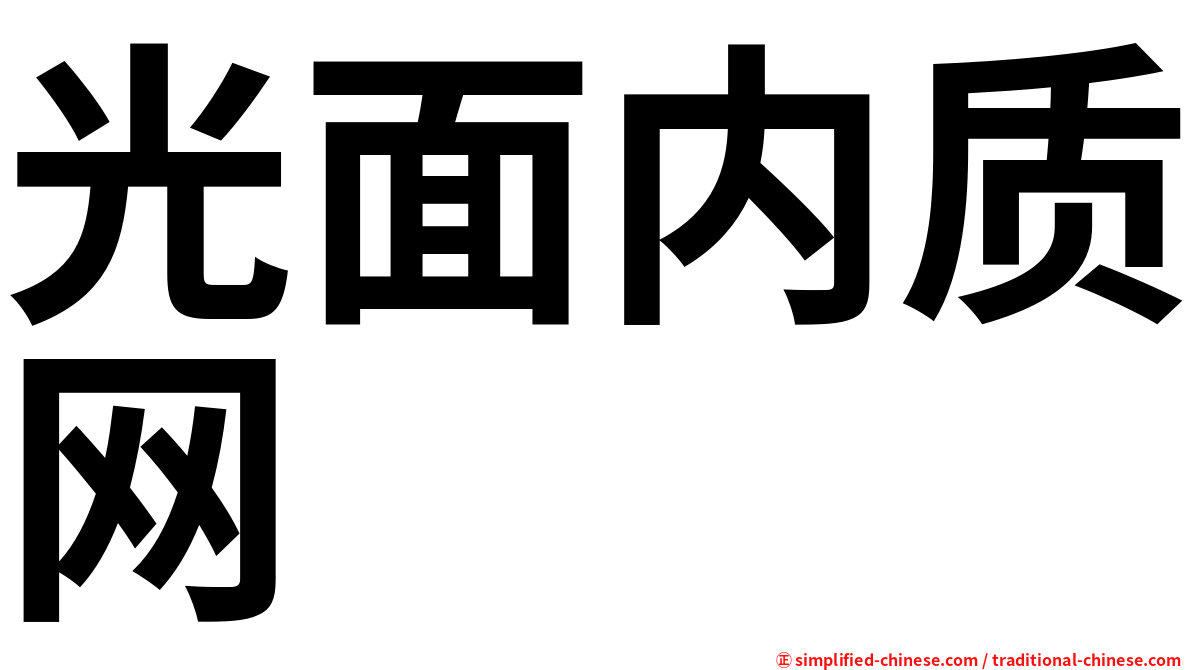 光面内质网