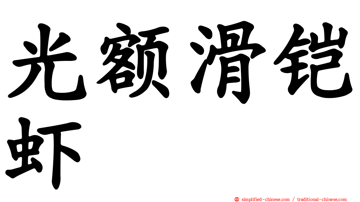 光额滑铠虾