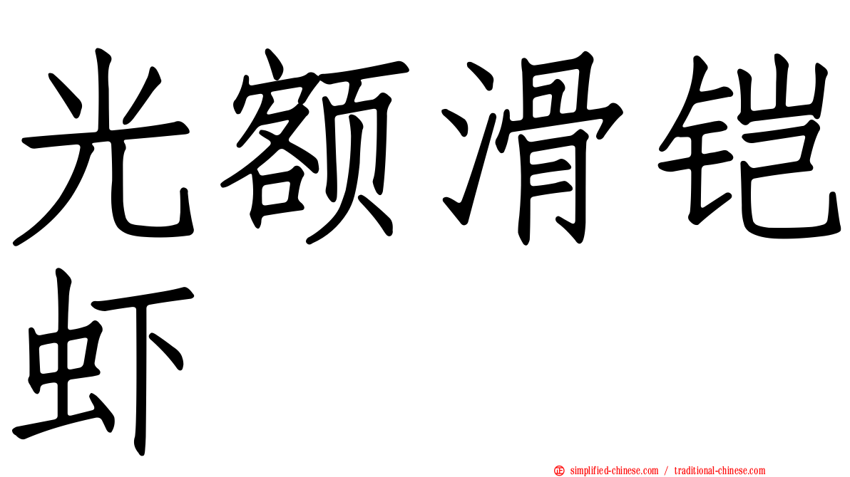 光额滑铠虾