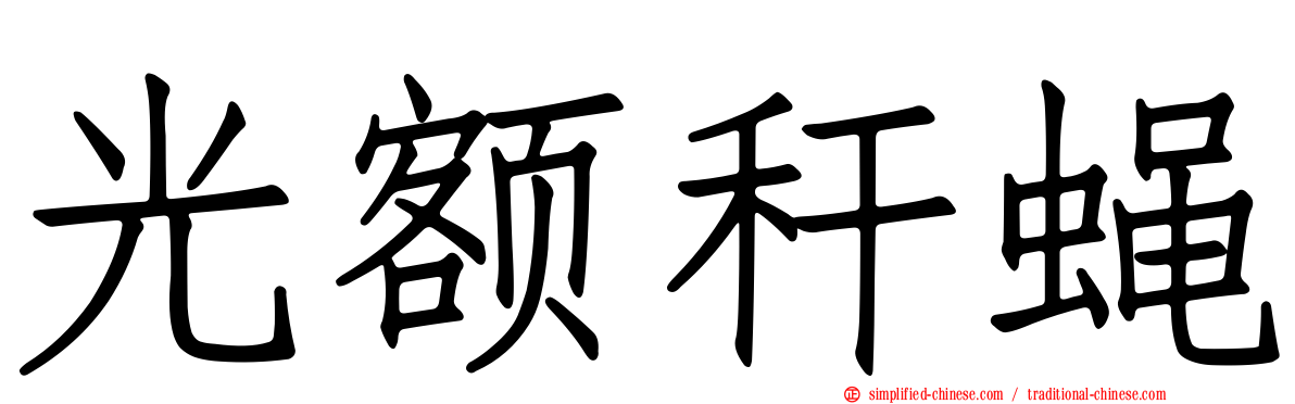 光额秆蝇