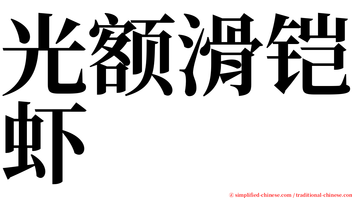 光额滑铠虾 serif font
