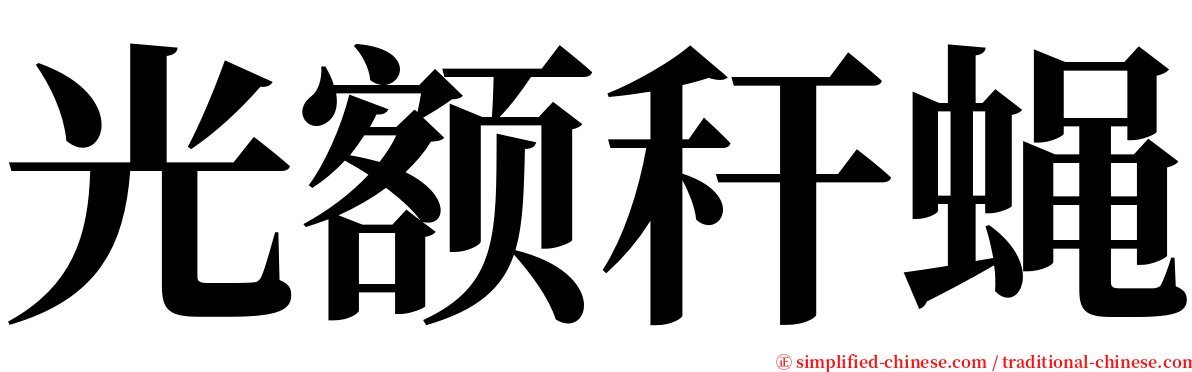 光额秆蝇 serif font