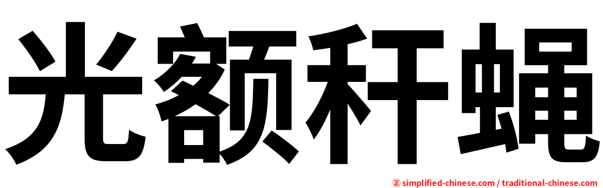 光额秆蝇
