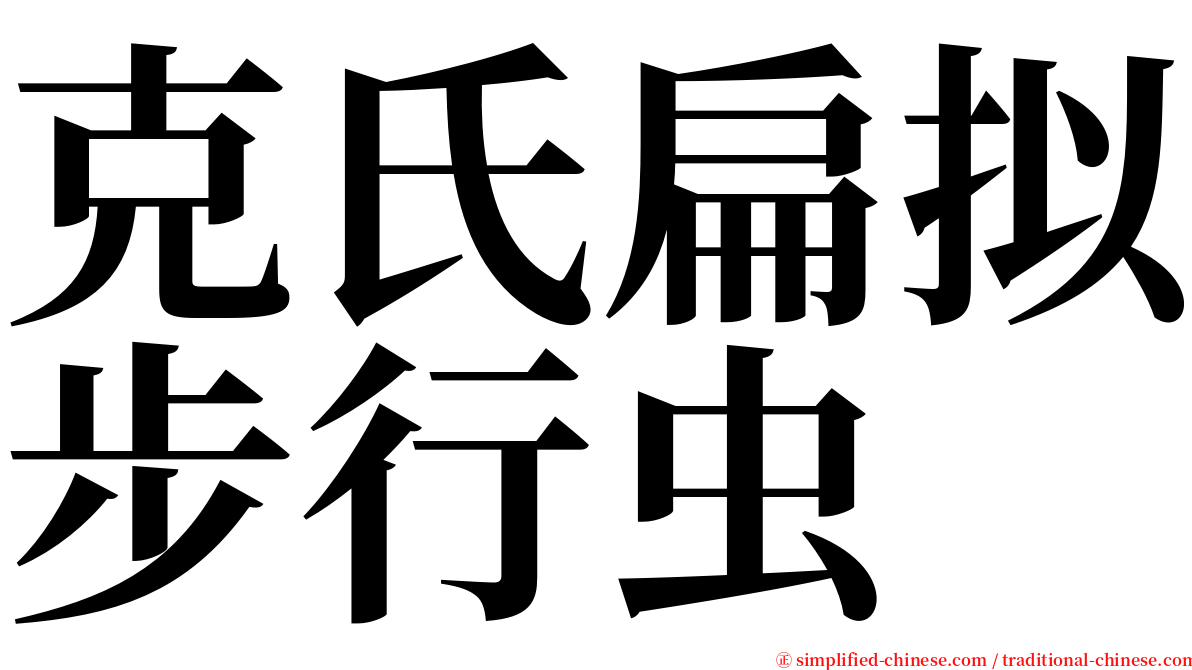 克氏扁拟步行虫 serif font