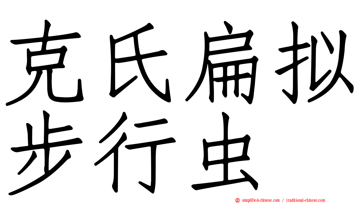 克氏扁拟步行虫