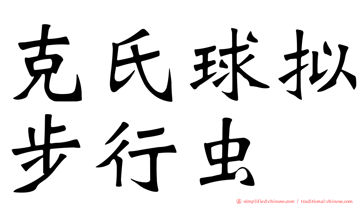 克氏球拟步行虫