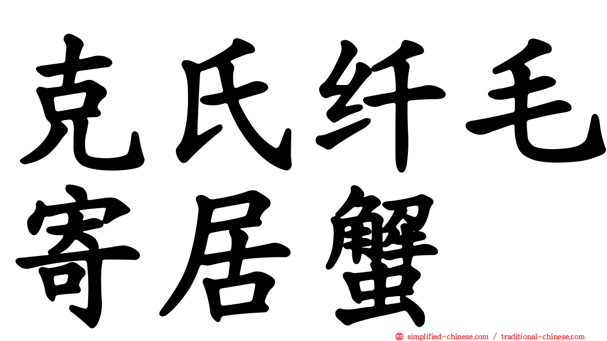 克氏纤毛寄居蟹