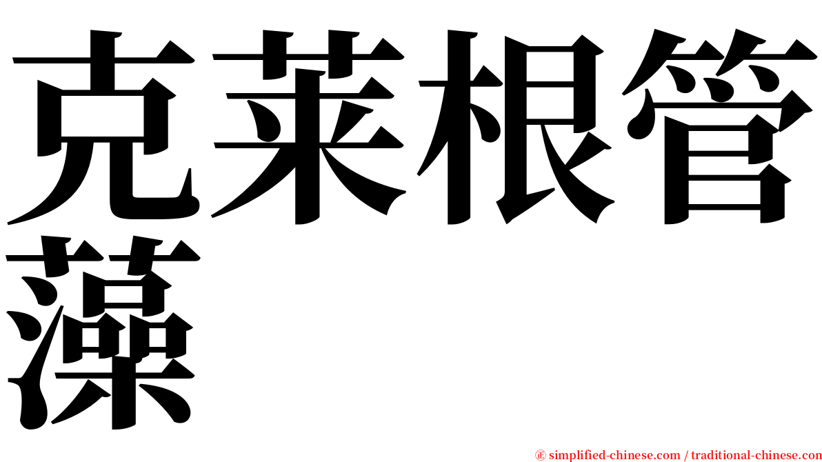 克莱根管藻 serif font