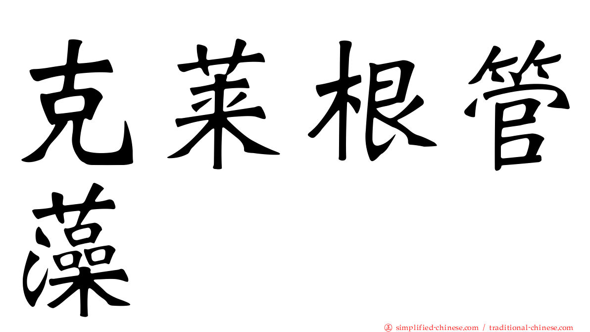 克莱根管藻