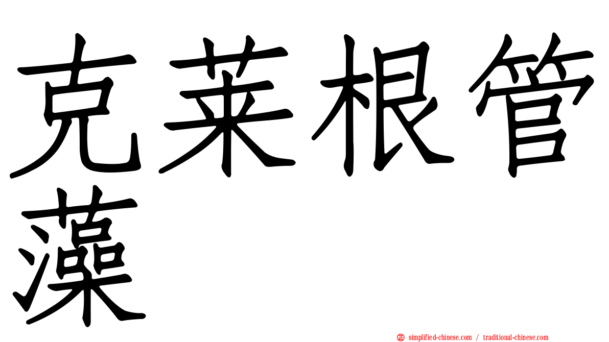 克莱根管藻