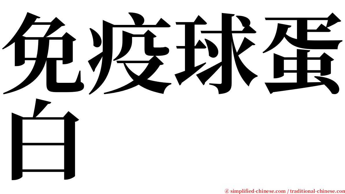 免疫球蛋白 serif font
