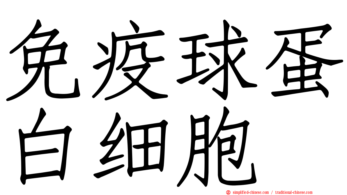 免疫球蛋白细胞