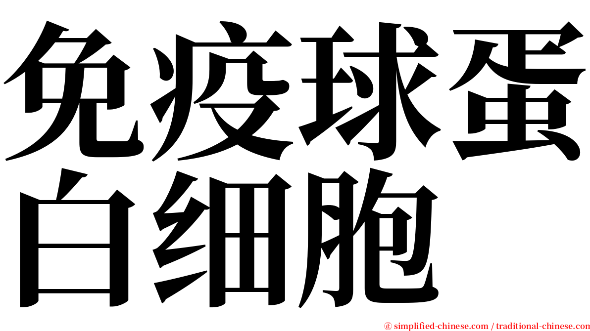 免疫球蛋白细胞 serif font