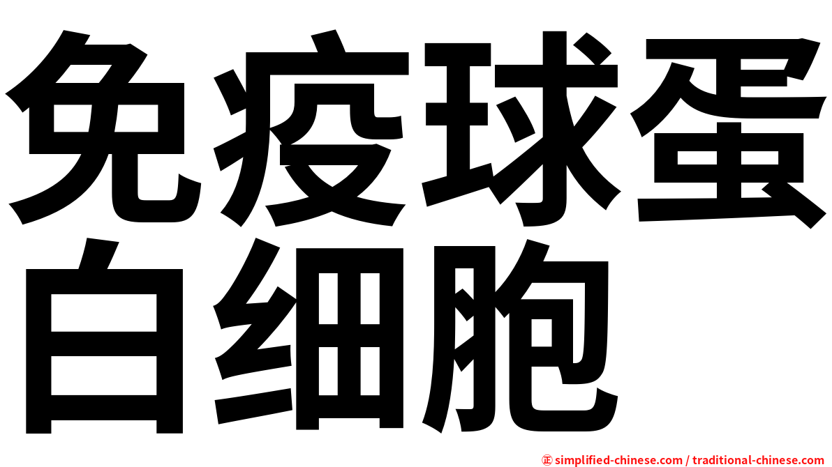免疫球蛋白细胞