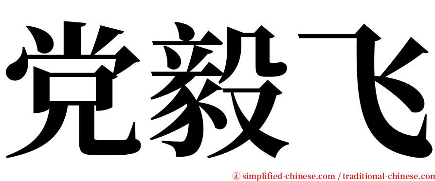 党毅飞 serif font