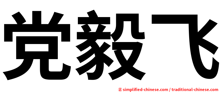 党毅飞