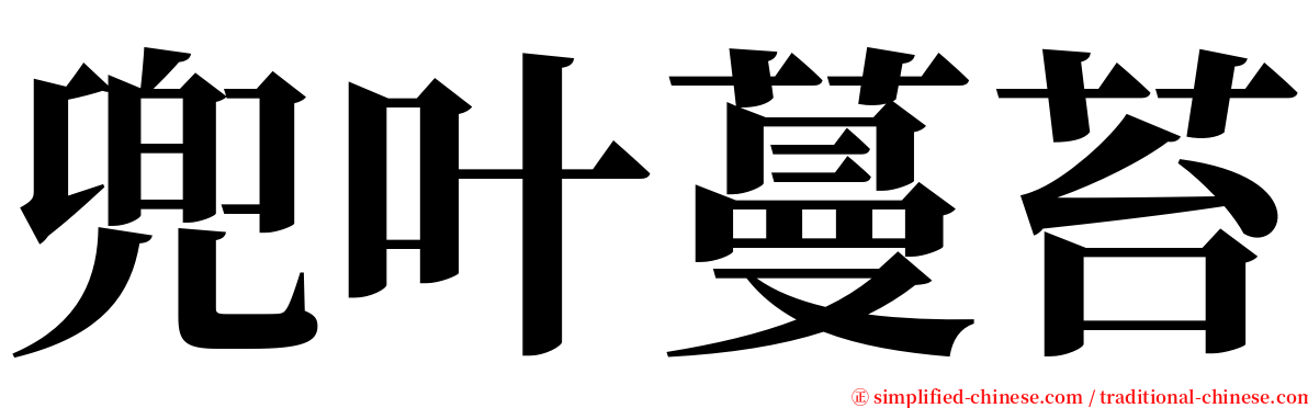 兜叶蔓苔 serif font