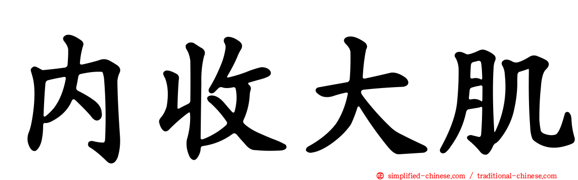 内收大肌
