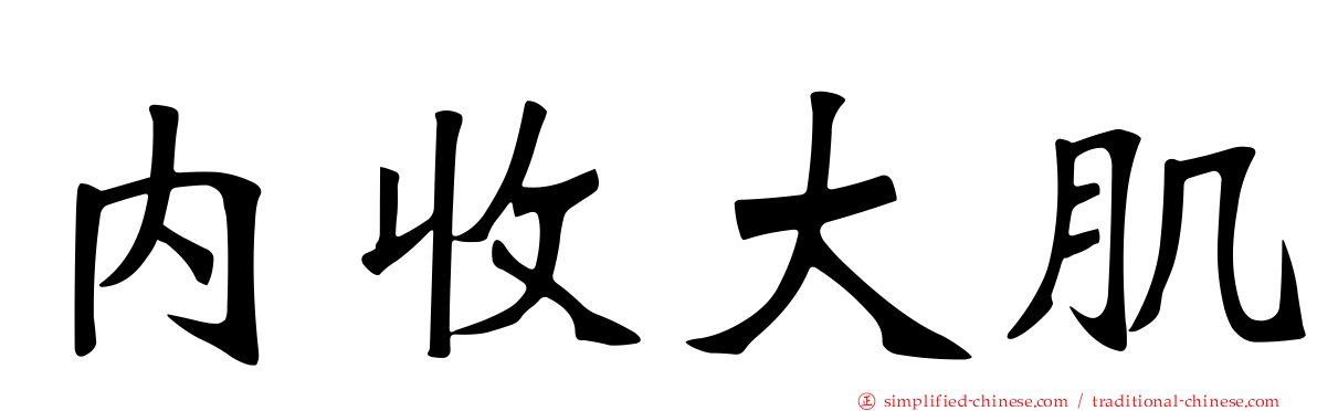 内收大肌