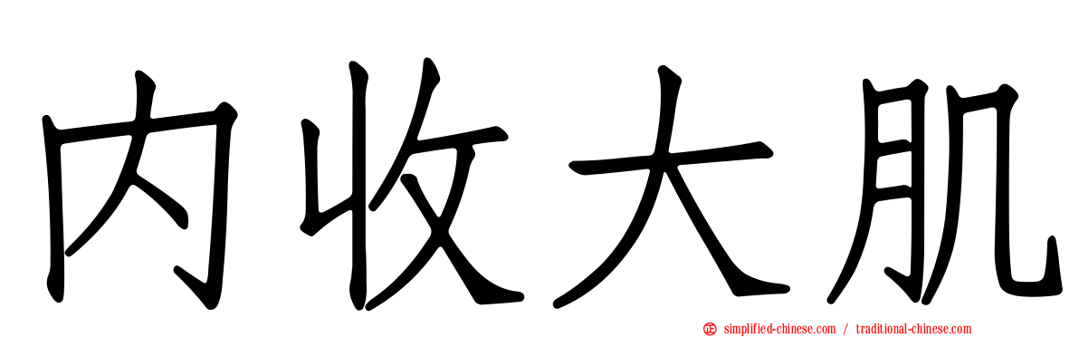 内收大肌