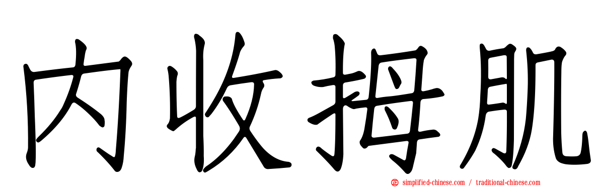 内收拇肌