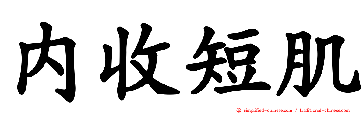 内收短肌