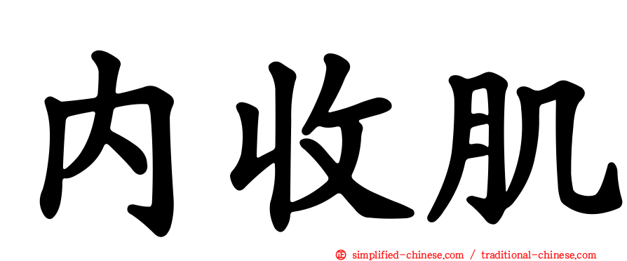 内收肌
