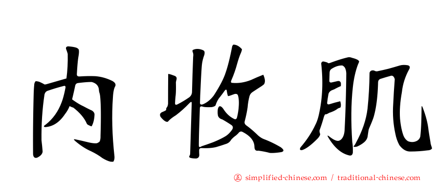 内收肌
