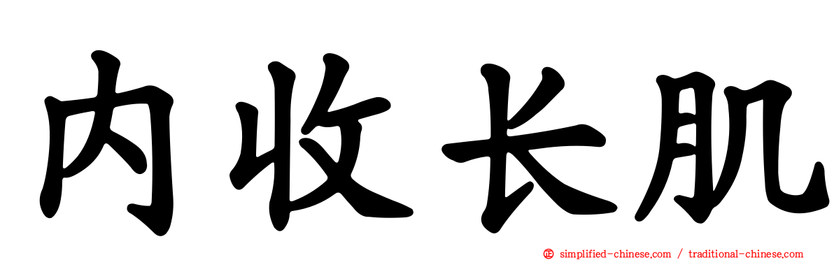 内收长肌