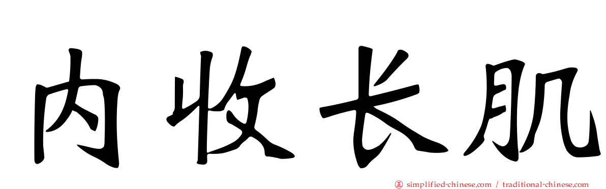 内收长肌