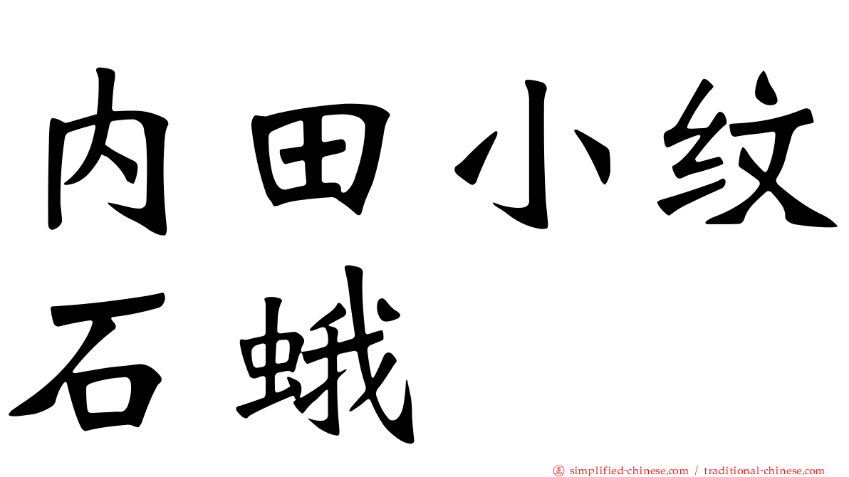 内田小纹石蛾