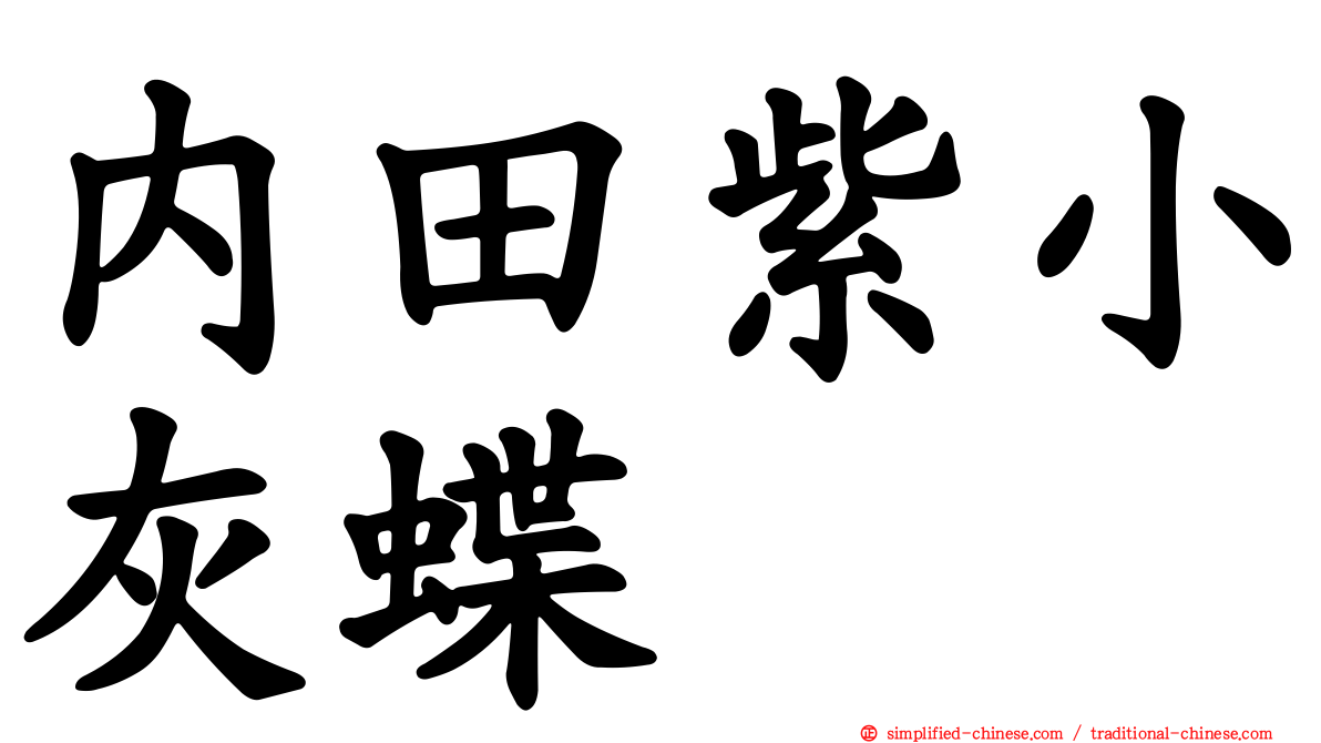 内田紫小灰蝶
