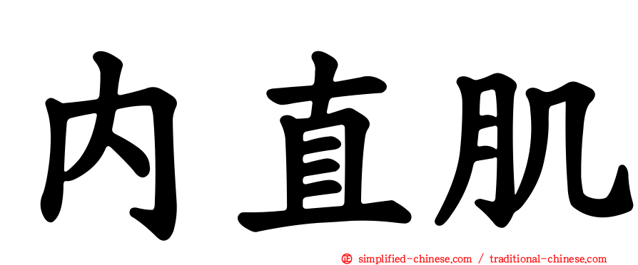 内直肌