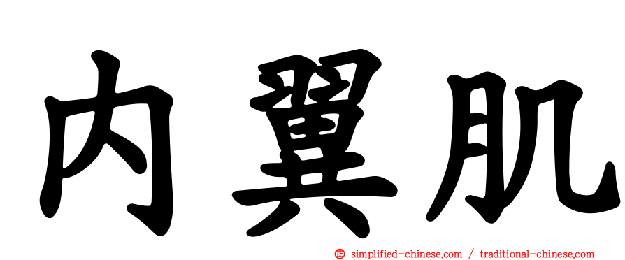 内翼肌