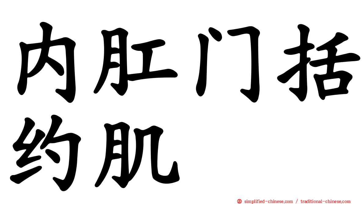 内肛门括约肌